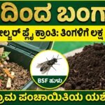 ಬಂಗಾರ ಹುಳು